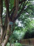 Worsley Footpath Salford